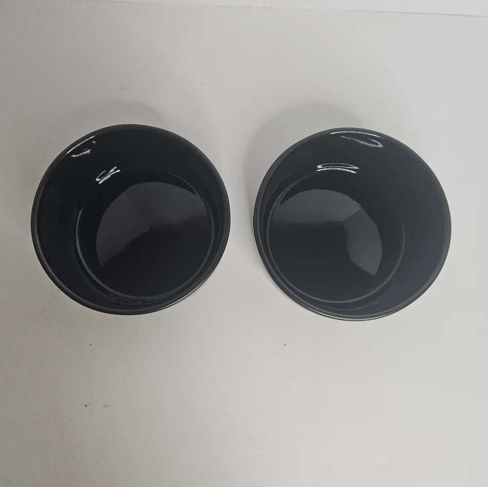 Rae Dunn Artisan Collection Dog Cat Food Water Bowls Set